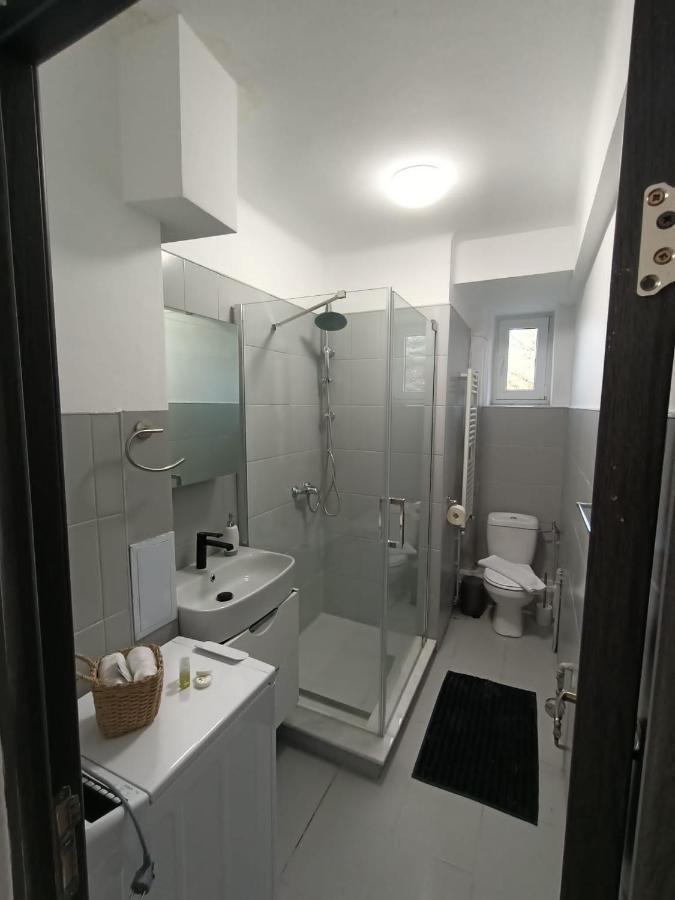 Vintage Gray Apartament Брашов Экстерьер фото